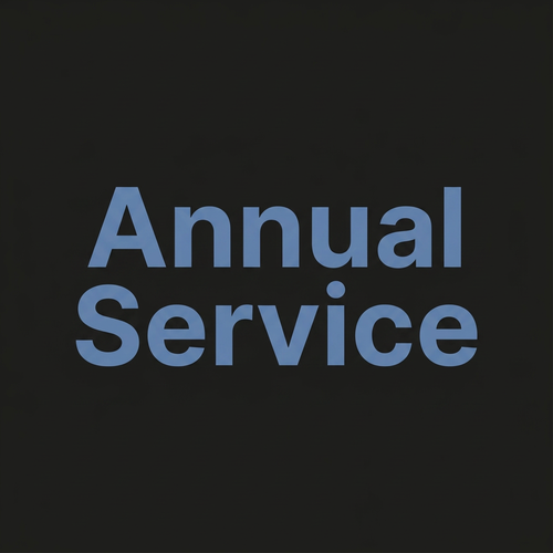 Annual Service